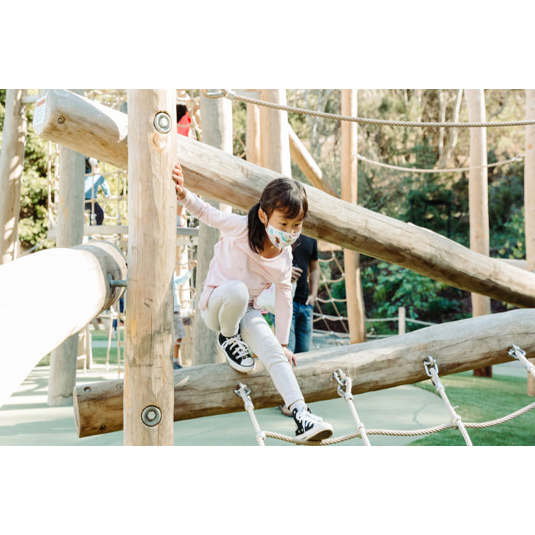 Crianças playground ao ar livr - Kids Outdoor Climbing Frame avaliação e preço